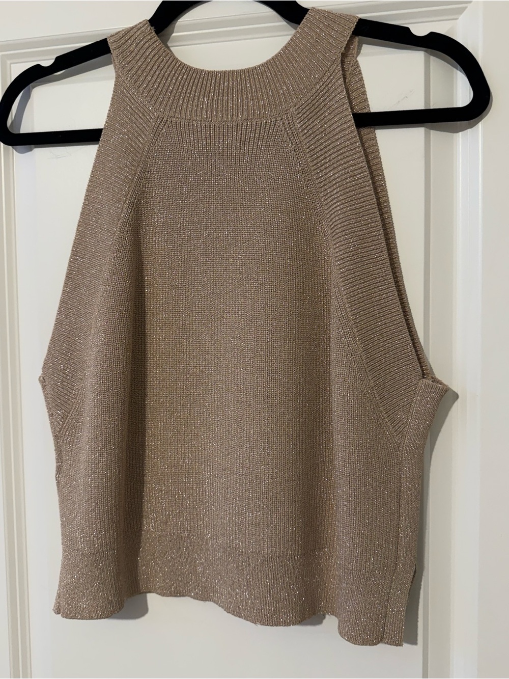 Wilfred Sparkle Knit Tank Top in Dark Nude